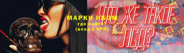 ECSTASY Коряжма