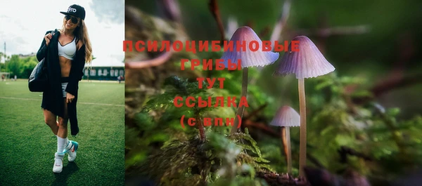 прущая мука Корсаков