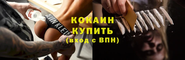 каннабис Ессентукская