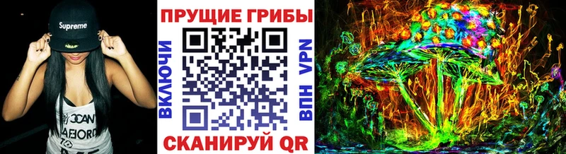 закладки  Чебаркуль  Галлюциногенные грибы Psilocybine cubensis 